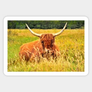 Highlander Cow in the tall grass Sticker